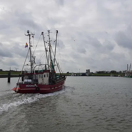 Lejlighed Terrassenwohnung Wangerooge Hooksiel