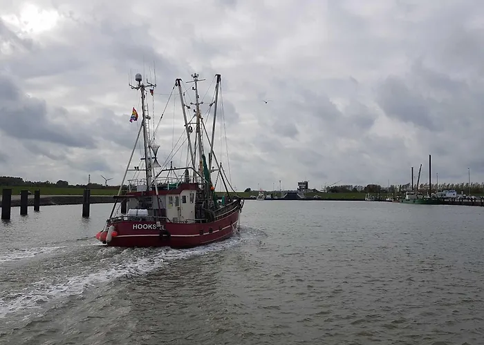 公寓 Terrassenwohnung Wangerooge 霍克西尔